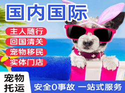 兴凯湖航空货运国际宠物托运 【国